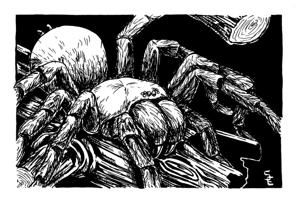 Inktober 2023 #02: Spiders