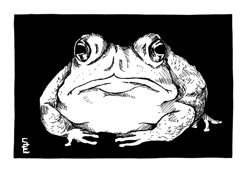 Inktober 2023 #08: Toad